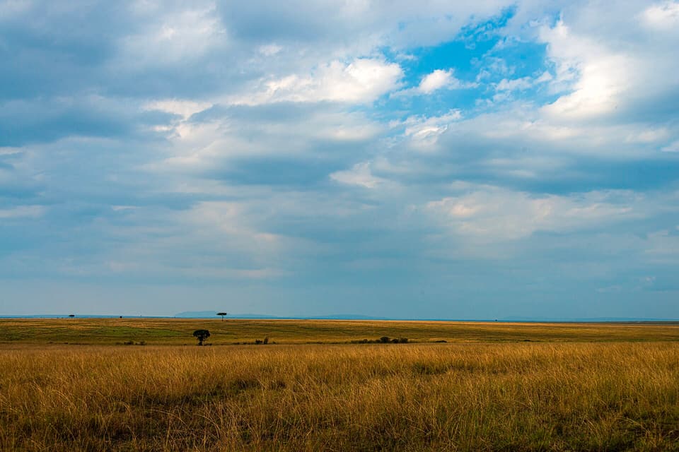 Open savanna in the Maasai Mara, Kenya