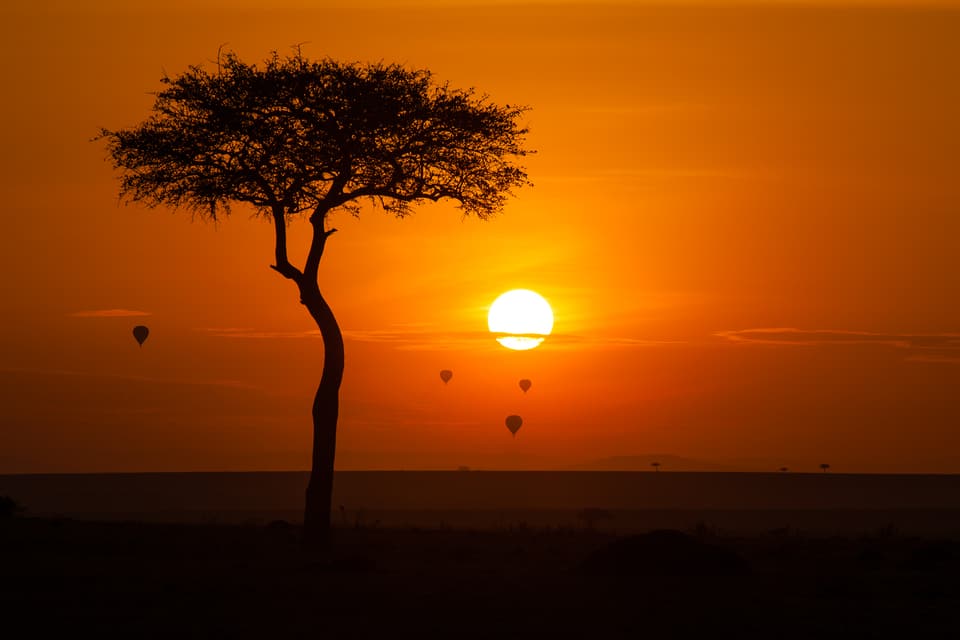 Luxury Fly-In Kenya — Maasai Mara, Amboseli, Samburu