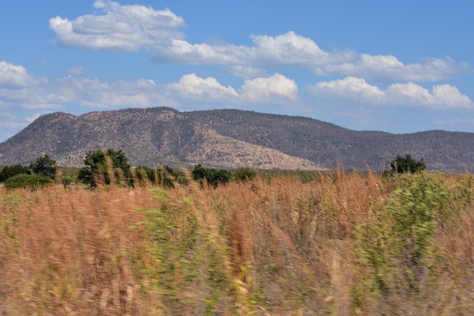 Southern Wild Trails — Nyerere, Ruaha